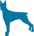 Characteristic of the Irish Wolfhound