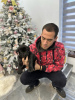 Photo №1. perro de presa canario - for sale in the city of Нови Сад | negotiated | Announcement № 94053