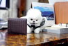 Photo №1. pomeranian - for sale in the city of Erkelenz | 425$ | Announcement № 99128