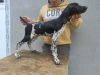 Photo №2 to announcement № 121630 for the sale of german shorthaired pointer - buy in Serbia 