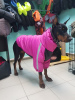 Photo №2. Clothes for dogs and cats in Russian Federation. Price - 49$. Announcement № 8462