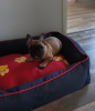 Photo №2 to announcement № 45916 for the sale of french bulldog - buy in Finland private announcement