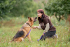 Photo №4. I will sell german shepherd in the city of Видное. from the shelter - price - Is free