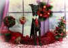 Photo №1. italian greyhound - for sale in the city of Volgograd | 690$ | Announcement № 31932