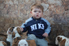 Photo №2 to announcement № 19605 for the sale of english bulldog - buy in Latvia from nursery