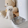 Photo №4. I will sell maltese dog in the city of Мадрид. breeder - price - 423$