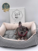 Photo №2 to announcement № 11521 for the sale of french bulldog - buy in Russian Federation from nursery