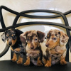 Photo №1. dachshund - for sale in the city of Лидс | 359$ | Announcement № 13485