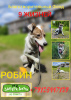 Photo №1. non-pedigree dogs - for sale in the city of Москва | Is free | Announcement № 59864