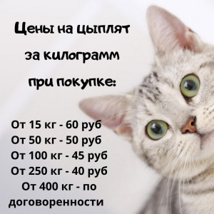 Photo №2. Pet supplies (Nutrition) in Russian Federation. Price - negotiated. Announcement № 6900