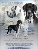 Photo №1. great dane - for sale in the city of Москва | negotiated | Announcement № 34910