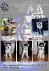 Photo №1. siberian husky - for sale in the city of Иваново | negotiated | Announcement № 48285