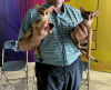Photo №2 to announcement № 64610 for the sale of abyssinian cat - buy in Belarus from nursery, breeder