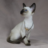 Photo №1. siamese cat - for sale in the city of Kuwait City | 250$ | Announcement № 121947