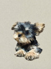 Photo №4. I will sell yorkshire terrier in the city of Tbilisi. private announcement - price - negotiated