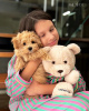 Photo №3. Buy a Maltipoo puppy. Russian Federation