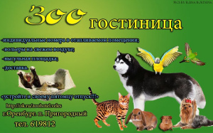Photo №1. Hotel for animals in the city of Orenburg. Price - Negotiated. Announcement № 2290