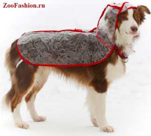 Photo №1. Clothing for dogs of all breeds in the city of Moscow. Price - 4$. Announcement № 3779