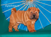 Photo №2 to announcement № 8220 for the sale of shar pei - buy in Russian Federation private announcement