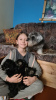 Photo №2 to announcement № 9523 for the sale of schnauzer - buy in Ukraine breeder