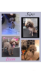 Additional photos: Our last stunning chocolate girl Toy poodle