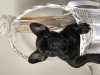 Photo №1. french bulldog - for sale in the city of Daugavpils | negotiated | Announcement № 23871