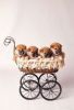 Photo №1. shiba inu - for sale in the city of Permian | 2000$ | Announcement № 33285