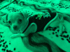 Photo №2 to announcement № 44253 for the sale of chihuahua - buy in Belgium private announcement