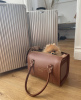 Photo №2 to announcement № 105051 for the sale of pomeranian - buy in Finland private announcement