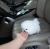 Photo №1. pomeranian - for sale in the city of Davenport | negotiated | Announcement № 71111