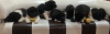 Additional photos: American Akita puppies black and white color