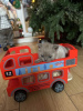 Photo №3. We have this new litters of British shorthair kittens. United States
