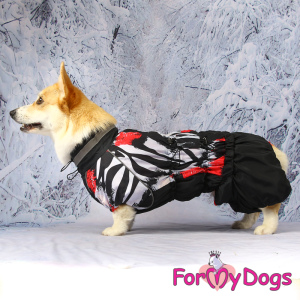 Photo №2. Clothes for dogs and cats in Russian Federation. Price - 4$. Announcement № 3779