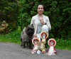 Photo №4. I will sell cairn terrier in the city of Brașov. breeder - price - 1040$