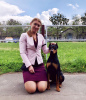 Photo №2 to announcement № 10502 for the sale of german pinscher - buy in Ukraine from nursery