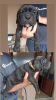 Additional photos: Cane Corso puppies for sale