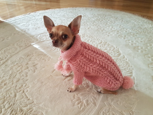 Photo №3. Small dog sweater / Dog clothes / Dog sweater / Pink sweater for dog / Chihuahua in Belarus