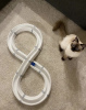 Photo №2 to announcement № 102886 for the sale of ragdoll - buy in United States private announcement