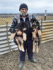 Photo №2 to announcement № 9471 for the sale of non-pedigree dogs - buy in Ukraine from nursery