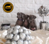 Photo №2 to announcement № 88042 for the sale of italian greyhound - buy in Poland breeder