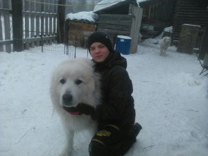 Photo №4. I will sell great pyrenees in the city of Krasnoyarsk. private announcement - price - Negotiated