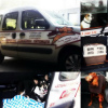 Photo №2. Services for the delivery and transportation of cats and dogs in Belarus. Price - negotiated. Announcement № 9413