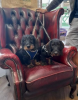 Additional photos: KC reg Wirehaired Dachshund (teckels)