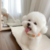 Photo №1. bichon frise - for sale in the city of Copenhague | negotiated | Announcement № 77542
