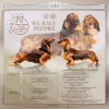 Photo №1. dachshund - for sale in the city of Кельце | negotiated | Announcement № 81235