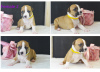 Photo №2 to announcement № 10361 for the sale of american staffordshire terrier - buy in Belarus from nursery