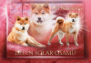 Photo №4. I will sell shiba inu in the city of Wasilków. breeder - price - 2113$