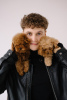 Photo №2 to announcement № 44600 for the sale of poodle (toy) - buy in Germany breeder