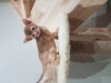 Additional photos: Abyssinian kittens for sale