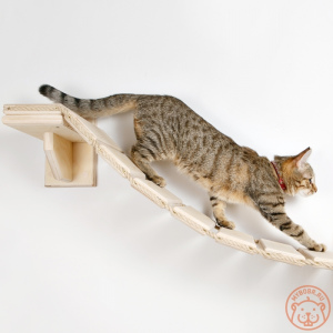 Photo №1. Reliable, eco-friendly bridge ladder for cats in the city of Москва. Price - 37$. Announcement № 5286